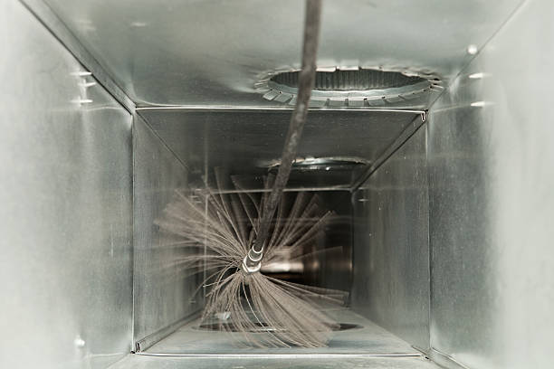Best Air Duct Mold Removal  in Kahaluu, HI