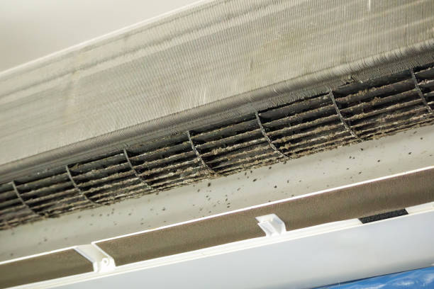 Kahaluu, HI Airduct Cleaning Pros
